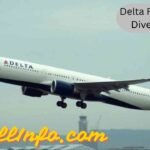 Delta Flight Dl275 Diverted Lax
