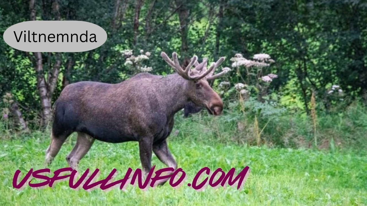 Viltnemnda